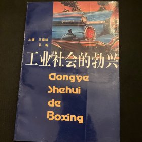 工业社会的勃兴:欧美五国工业革命比较研究