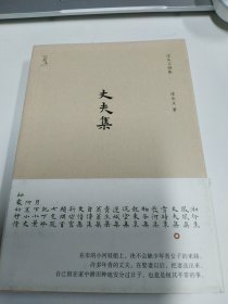 《丈夫集》(沈从文人性小说代表作，《丈夫》《都市一妇人》《篁君日记》众多名篇集结，首次精装本。著名设计师陆智昌担纲设计)(楚尘文化出品)