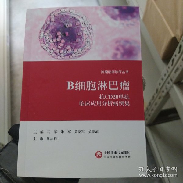 B细胞淋巴瘤抗CD20单抗临床应用分析病例集