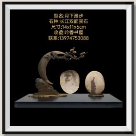 《月下漫步》双面赏石