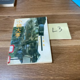小镇大亨