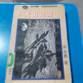 天國(guó)滄桑 劉業(yè)勇