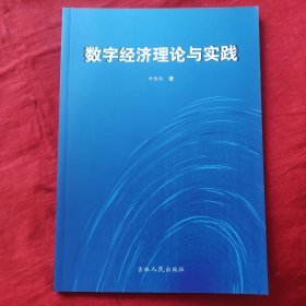 数字经济理论与实践