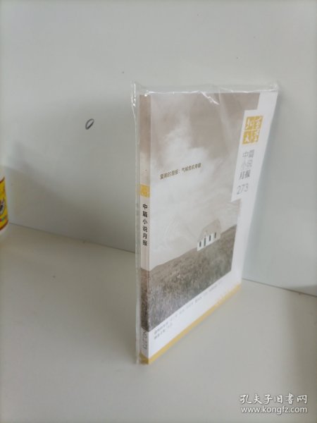 北京文学中篇小说月报2025