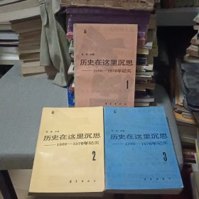 历史在这里沉思1-3：1966-1976年记实【全3卷 原版书 86年8月1版1印】