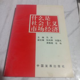 什么是社会主义市场经济/CT20