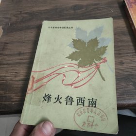 烽火鲁西南