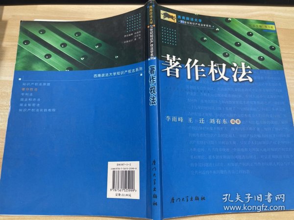 西南政法大学21世纪知识产权法学系列：著作权法