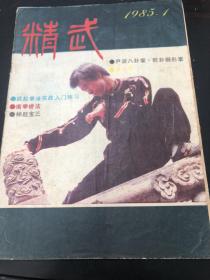 武术类：精武1985（尹派八卦掌，乾卦狮形掌，强身五法八象，五花炮拳，青龙拳，武松拳法实战入门，南拳桥法，太祖洪拳简介，甘凤池拳法简介，武家气功养生法（三则）武术真谛，怀念徐东哲老师，民间点穴救治歌诀与药方，练功八诀神跤宝三等等）