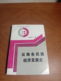 云南各民族经济发展史