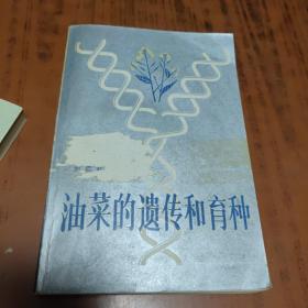 油菜的遺傳和育種