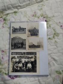 老照片—共青团上海团校五十年代一批照片13张