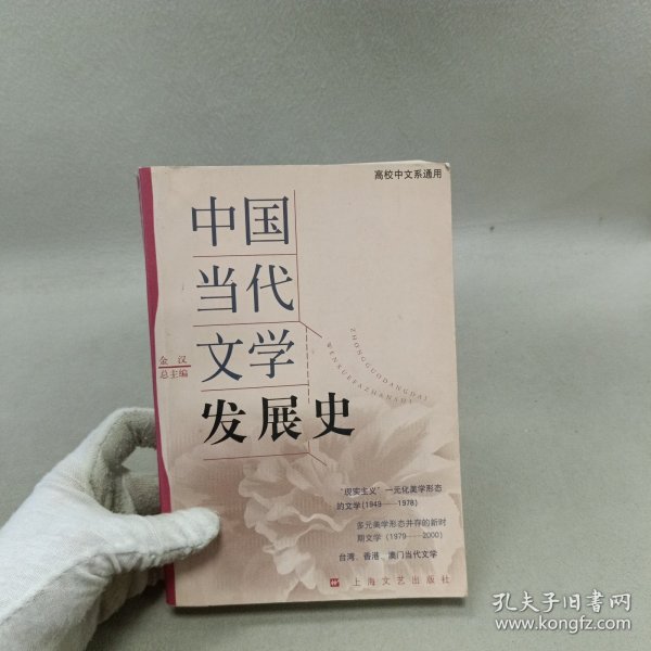 中国当代文学发展史