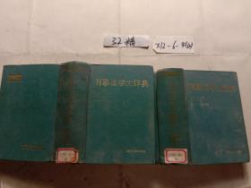 刑事法學(xué)大詞典