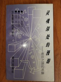 灵魂深处的漫游