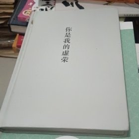 你是我的虚荣
