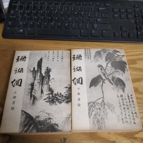 珊瑚纲（上下册）