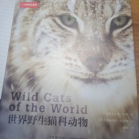 世界野生猫科动物