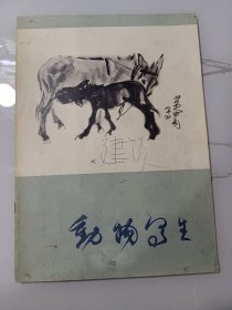 70年代老画册:黄胄写生作品选（动物）