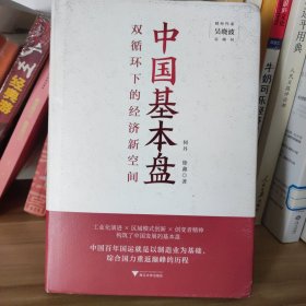 中国基本盘（吴晓波总顾问倾力推荐！读懂基本盘，把握中国新发展的大逻辑）