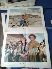 电影剧照海报译制片，收割8全