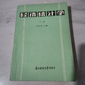 经济统计学【下册】