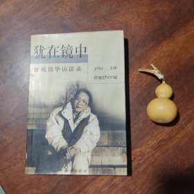 犹在镜中—戴锦华访谈录（品好如图）