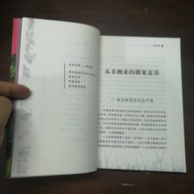 动物小说大王沈石溪.品藏书系：象母怨