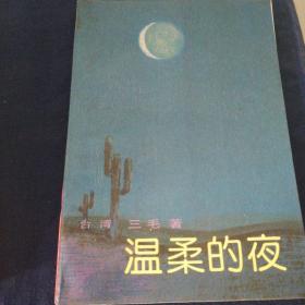 温柔的夜里