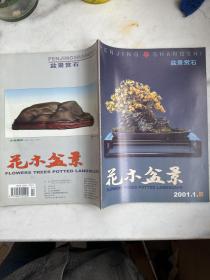 花木盆景盆景赏石2001年1B~12B