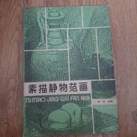 素描静物范画