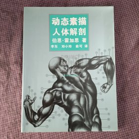 动态素描人体解剖、