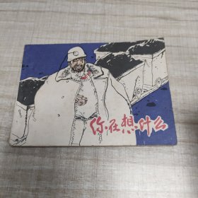 你在想什么？ ~连环画∽品自鉴，按图发货∽存放100号箱