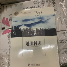 魁胆村志