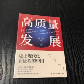 高质量发展：迈向现代化新征程的中国 9787503571114
