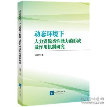 动态环境下人力资源柔性能力的形成及作用机制研究