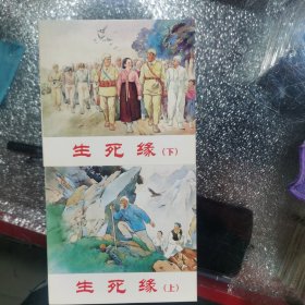 生死缘（2011年印）