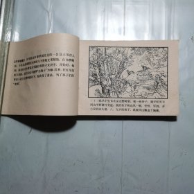抓来的老师