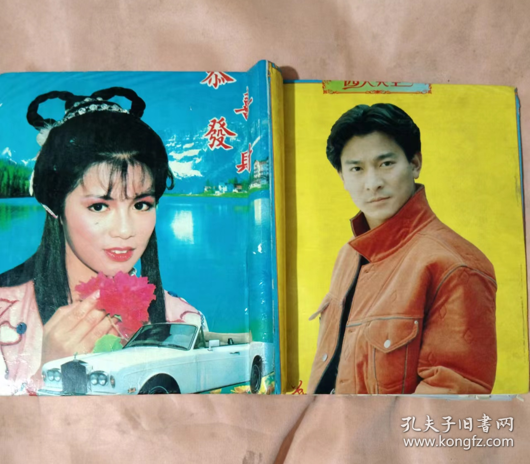 空白影集(封面刘德华， 封底翁美玲)一本