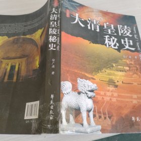 大清皇陵秘史（修订版）