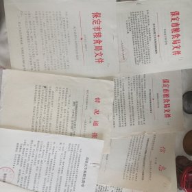 90年代保定市粮食局（系统）资料23份合售