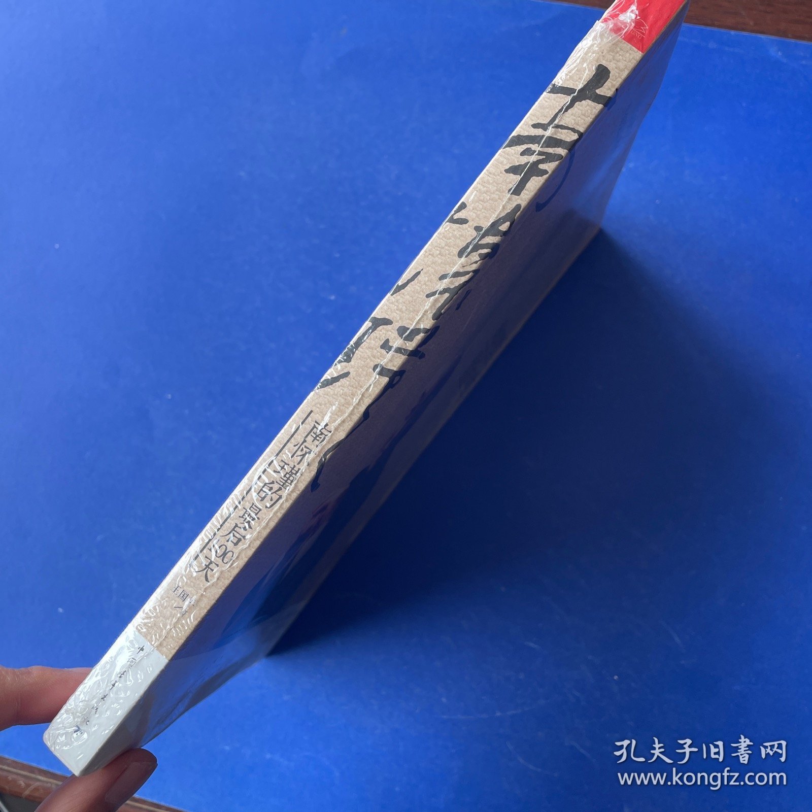 南怀瑾的最后100天
