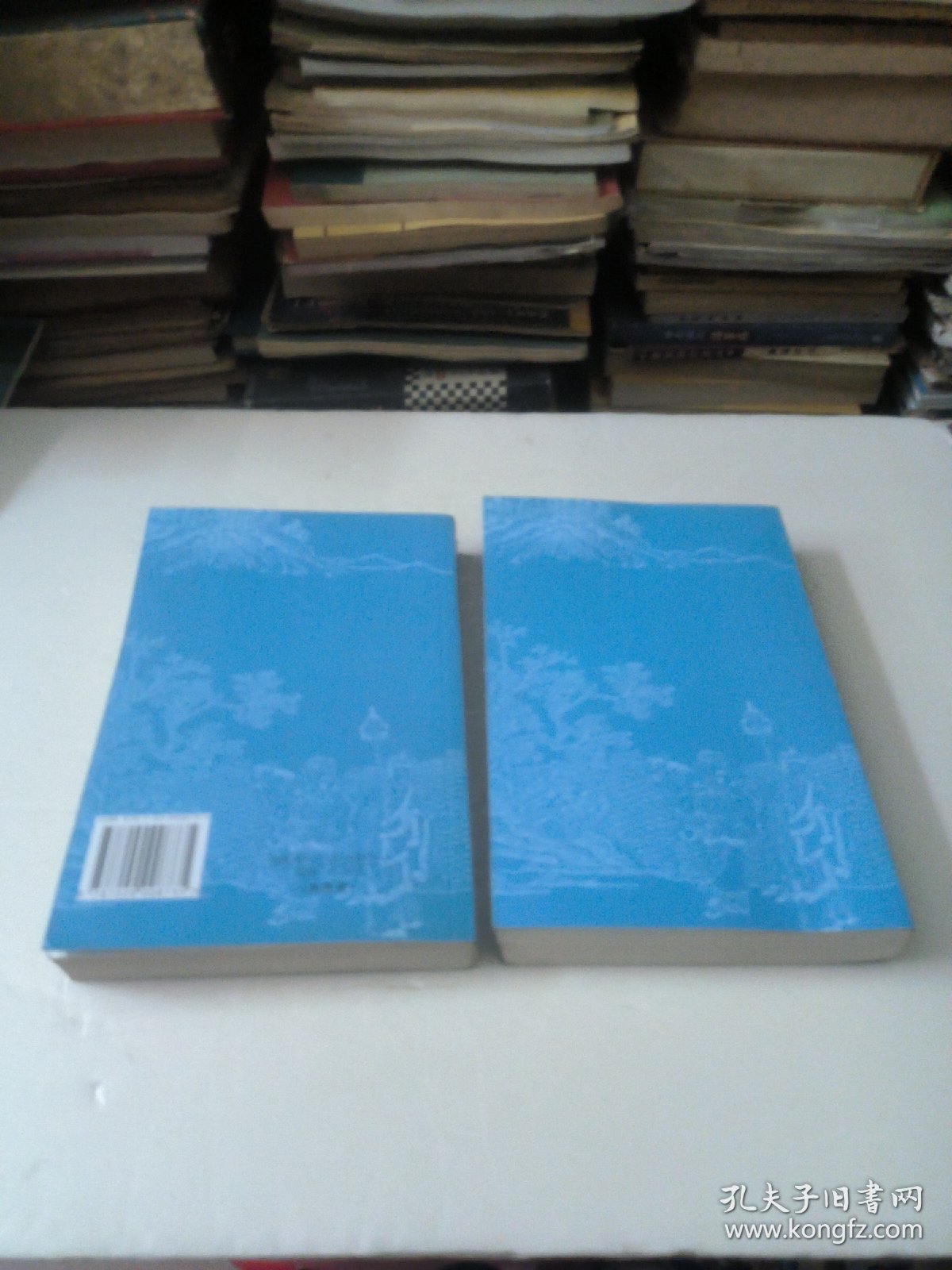 西游记（全二册）