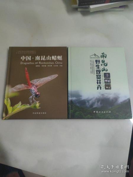 中国·南昆山蜻蜓