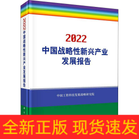 中国战略性新兴产业发展报告 2022