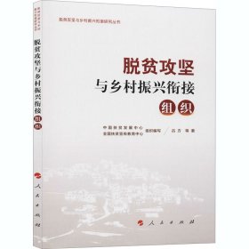 脱贫攻坚与乡村振兴衔接：组织（脱贫攻坚与乡村振兴衔接研究丛书）