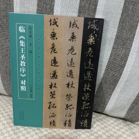 名家临名帖系列 赵孟頫、王铎临集王圣教序对照