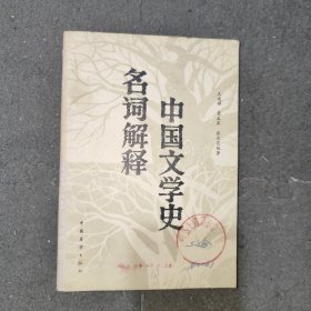 中国文学史名词解释