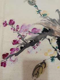老立轴花鸟画江寒汀