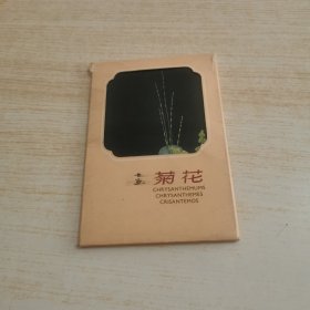 菊花 明信片11张（有字迹）